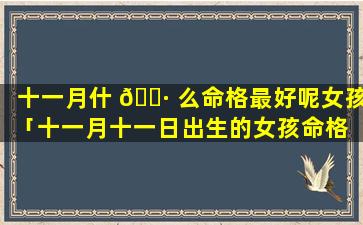 十一月什 🕷 么命格最好呢女孩「十一月十一日出生的女孩命格 🌷 」